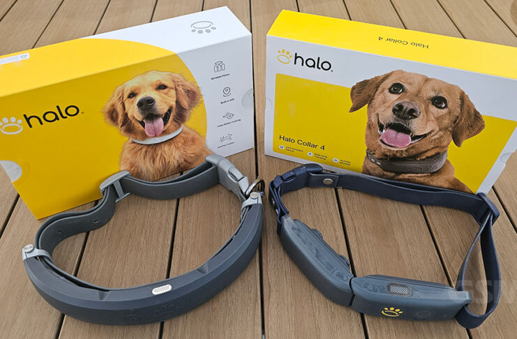 Halo Collar 3 vs Halo Collar 4: What’s Better on the 4?