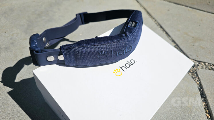 Halo Collar 3 vs Halo Collar 4: What's Better on 4?