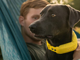 Halo Collar 5 Improved GPS and Battery Life