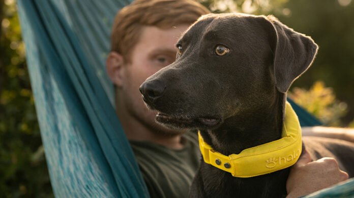 Halo Collar 5 Improved GPS and Battery Life